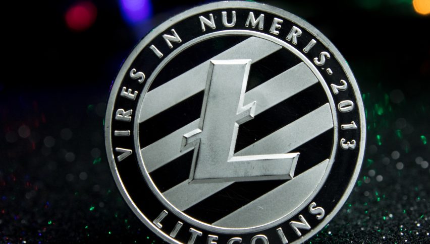 Litecon has made an ugly reverse today