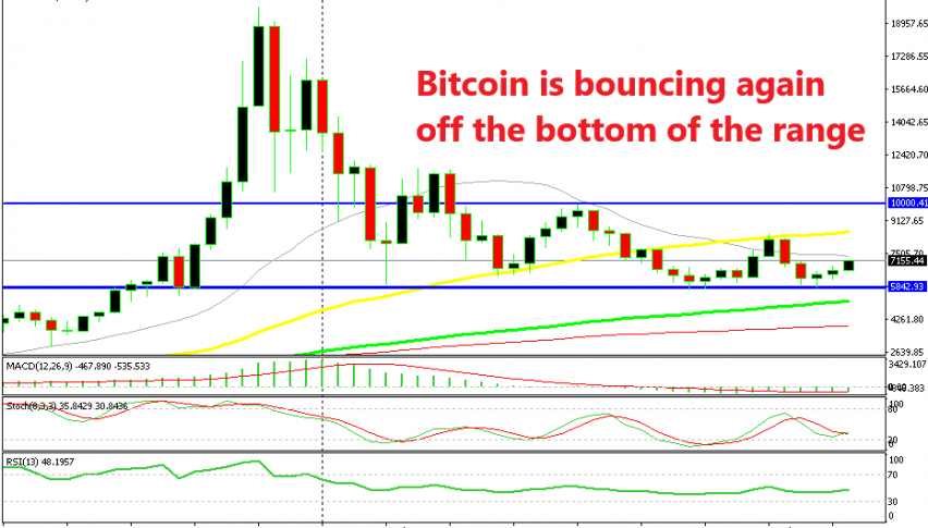Range trading is very much in play