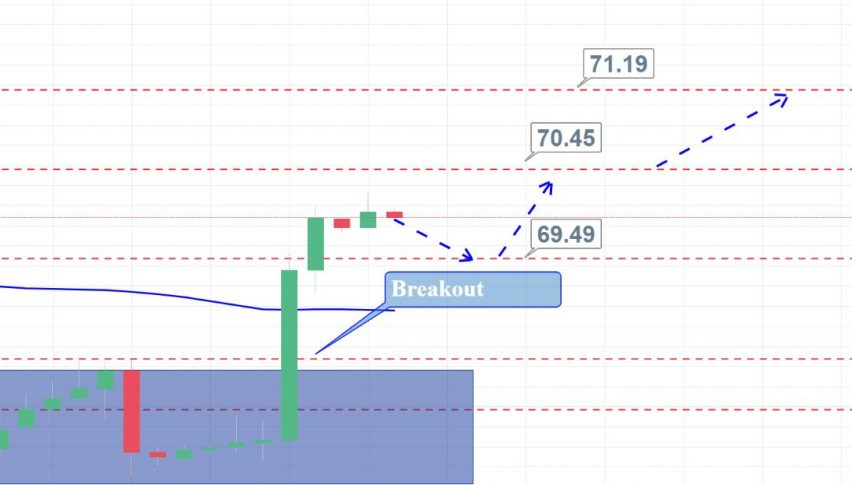 Crude Oil Traders Await Eia Report How To Trade Today Forex - 