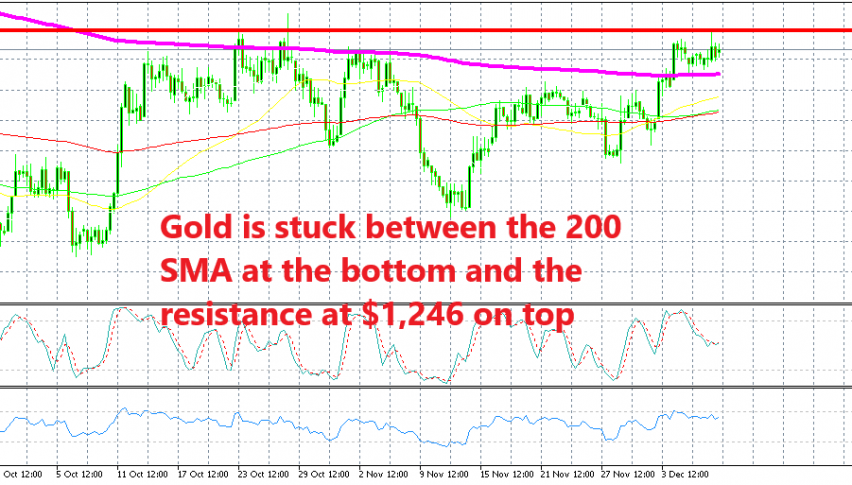 Which indicator will go first?