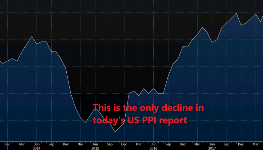 US Producer Price Index