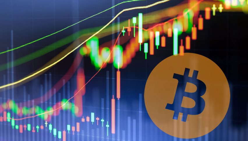 bitcoin forex signalai