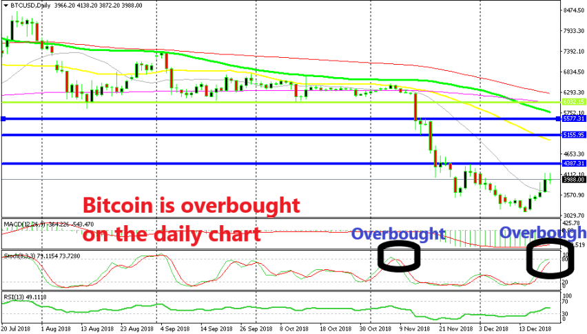 Bitcoin Becomes Overbought On The Daily Chart Time To Sell - 