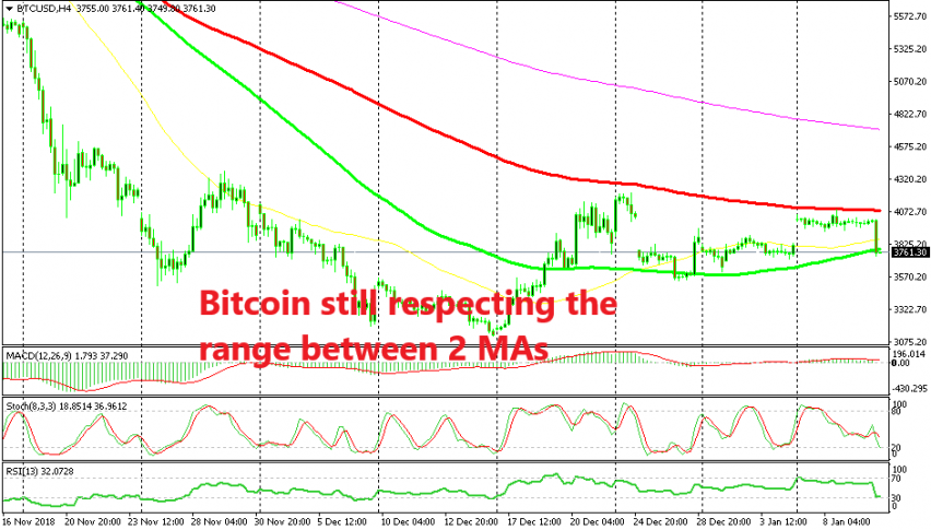 Closed the signal at the bottom MA (green)