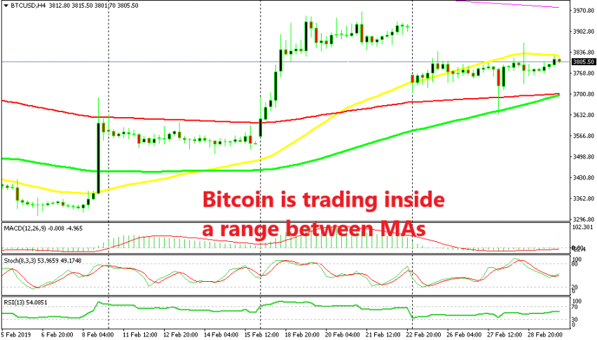 Forex news break