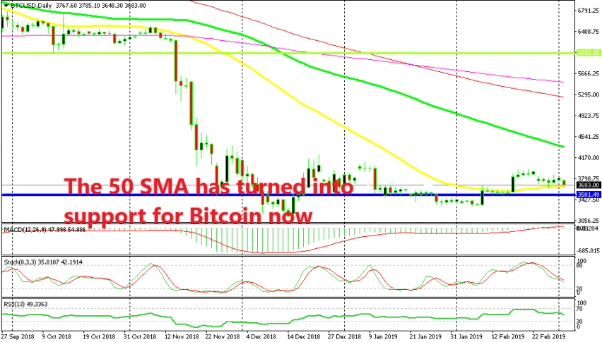 Bitoin trying to make an important decision on the daily chart