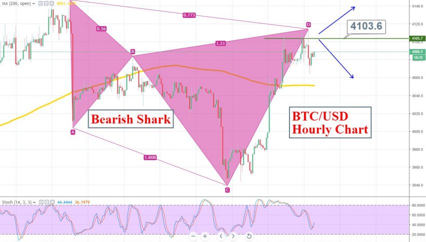 Bitcoin Technical Analysis Bearish Shark Spotted Forex News By - 