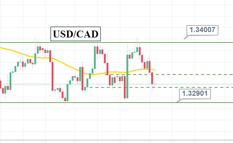 Explosive 5-Year Outlook: Navigating the Turbulent Waters of the USD/CAD Forex Pair