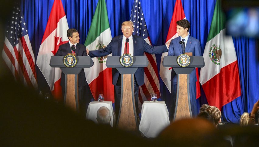 USMCA in focus