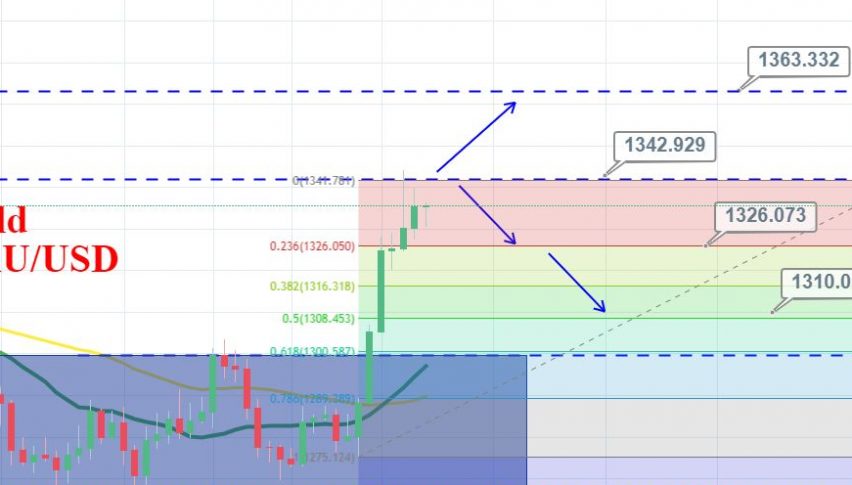 Gold Rushes Higher Trade War Fear Rate Cut Hopes Dominate - 