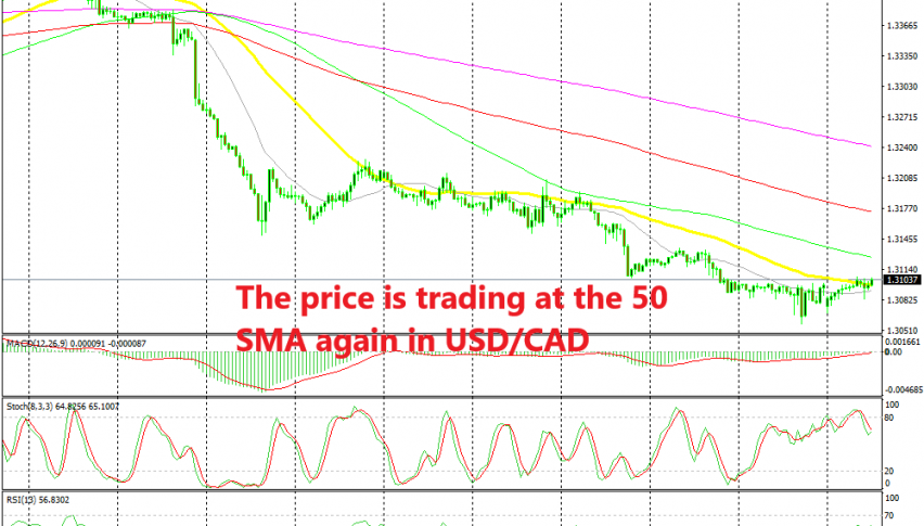 Shorting Usd Cad Again Forex News By Fx Leaders - 