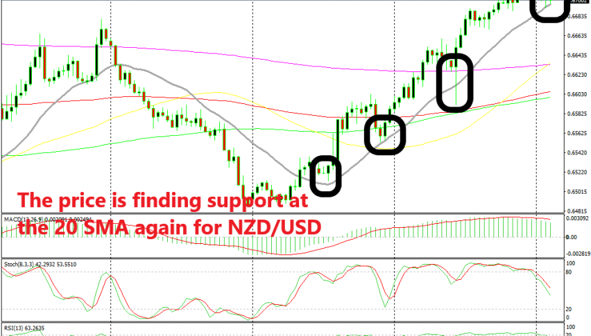 Buying The Pullback In Nzd Usd At The 20 Sma Forex News By Fx Leaders - 