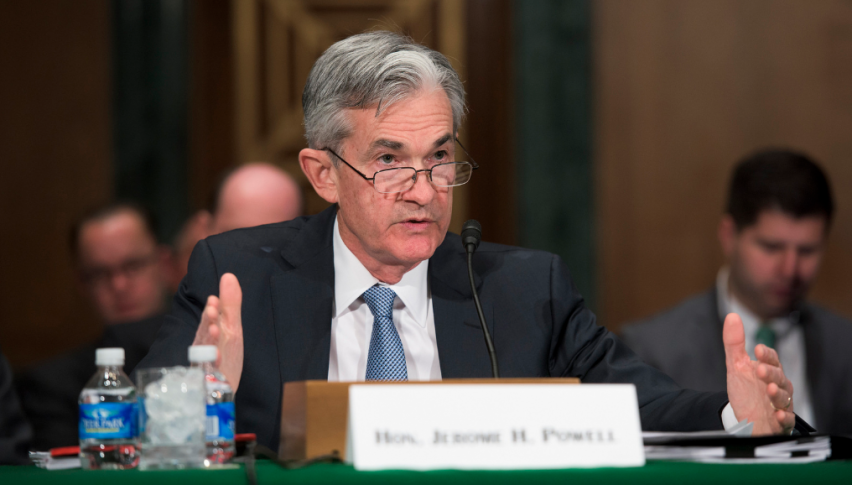 Powell in Focus