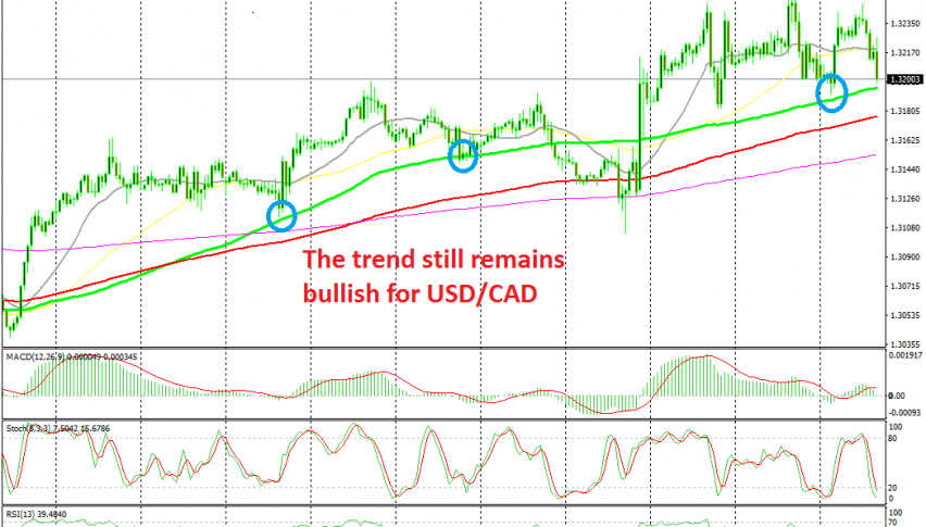 Buying Usd Cad At The 100 Sma As Oil Remains Bearish Forex News By - 