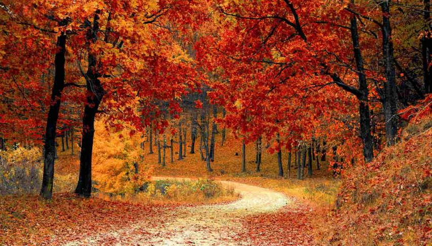 fall