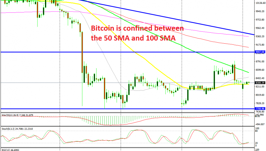 The 50 SMA has turned into support now