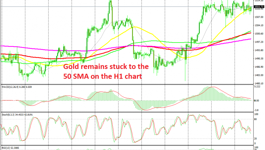 Gold remains bullish