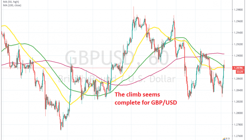 Let's see if a bearish reversal comes now
