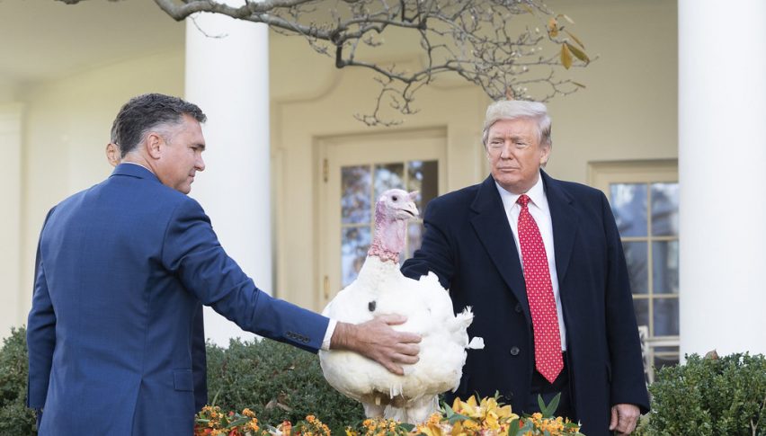 It's time for that turkey to get in the oven