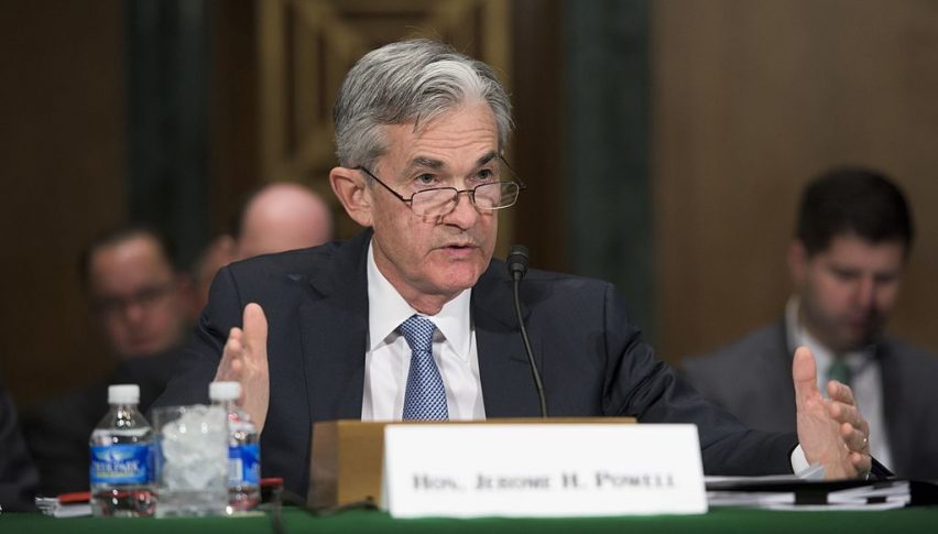 Powell Ahead