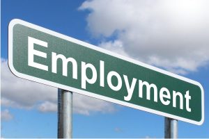 Employment has been in focus all this year in US