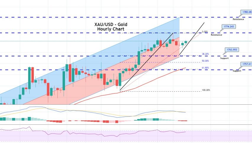 Daily Brief, Jun 24: Everything You Need to Know About Gold Today