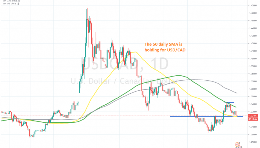 Let's see if the price will bounce to the 100 SMA again