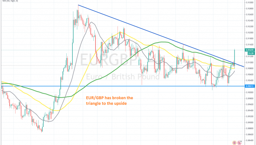 50 turn into forex