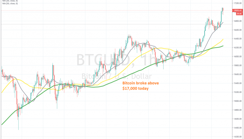 Bitocoin bounced off the 20 SMA last night