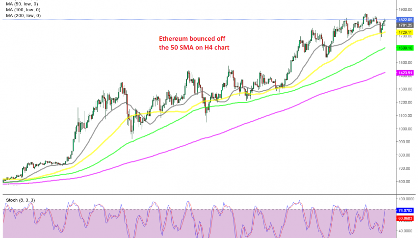 Heading for the highs again in no time