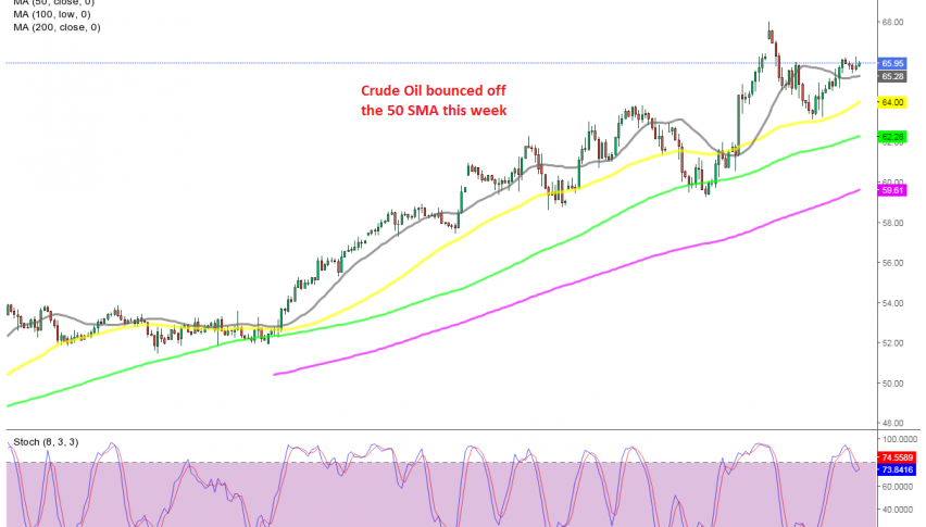 Oil has resumed the bullish trend again