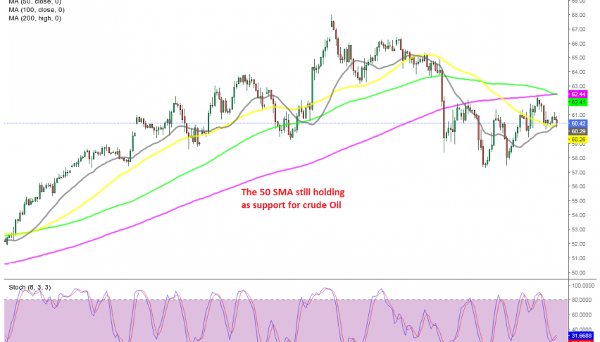 50 turn into forex