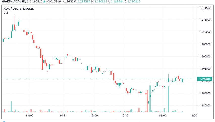 What's Next For Cardano After Wednesday's Bearish Moves?