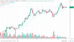 polkadot daily chart