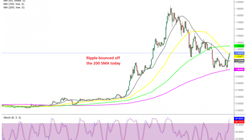 Buyers are facing the 50 SMA now