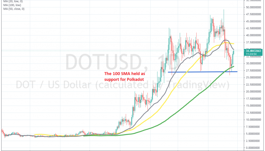 The pullback seems over for pDOT/USD
