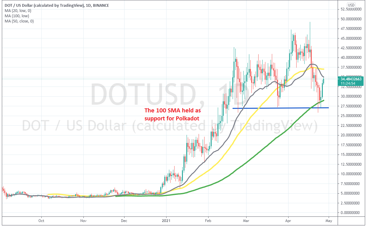 Polkadot Bounces Off the 100 SMA