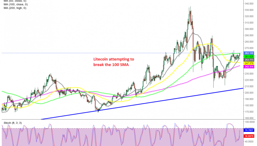 Buyers are in charge in LTC/USD now