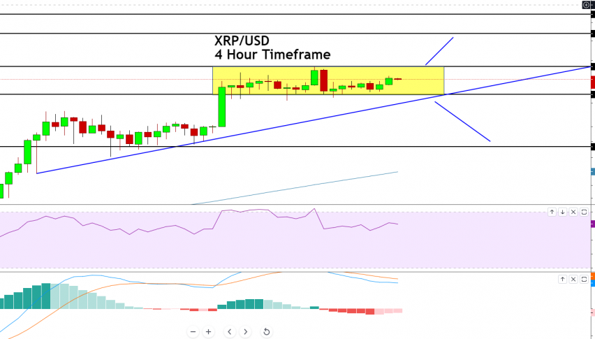 Ripple - XRP/USD Chart