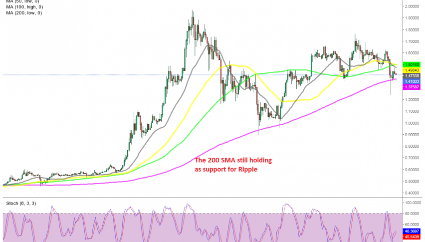 Why Did Xrp Crash - Why Did Xrp Crash Today : Https ...