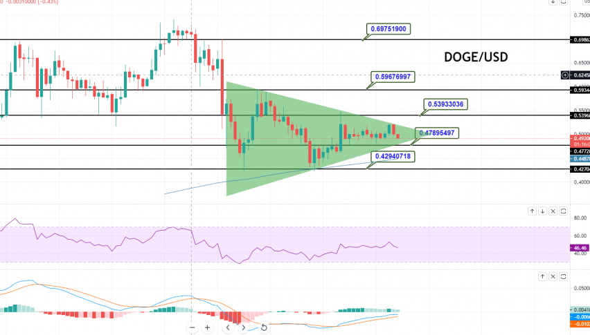 doge to usd price