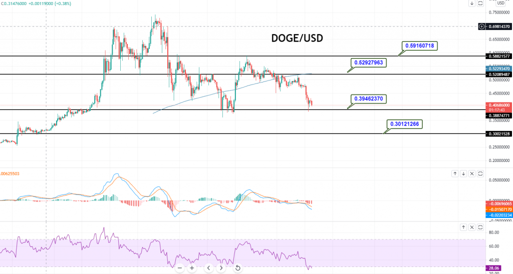 doge to usd price