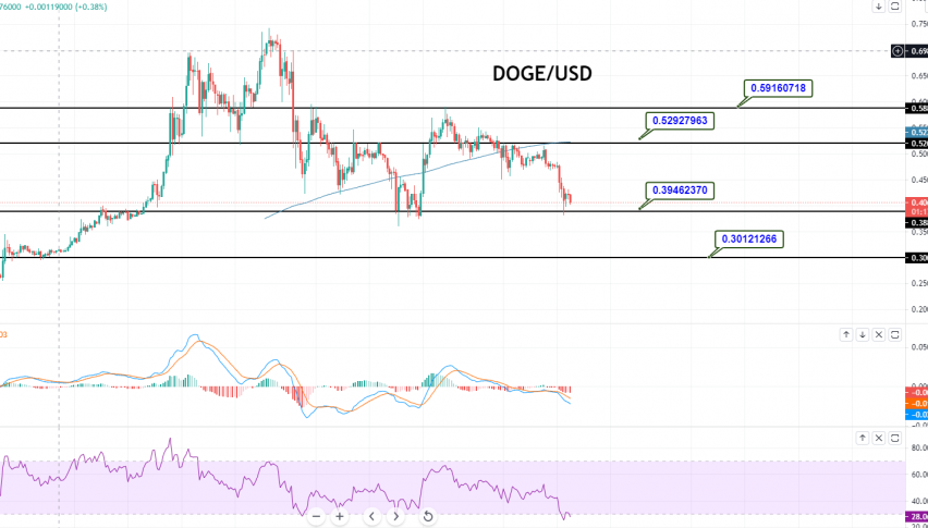 Dogecoin price chart today live dogeusd gold price