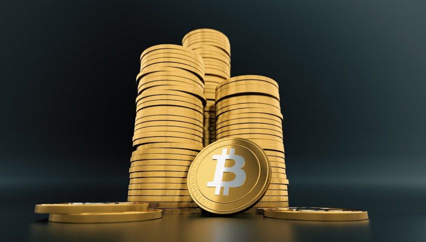 Crypto Whales Turn Active - Buying The Dip While Prices Crashed
