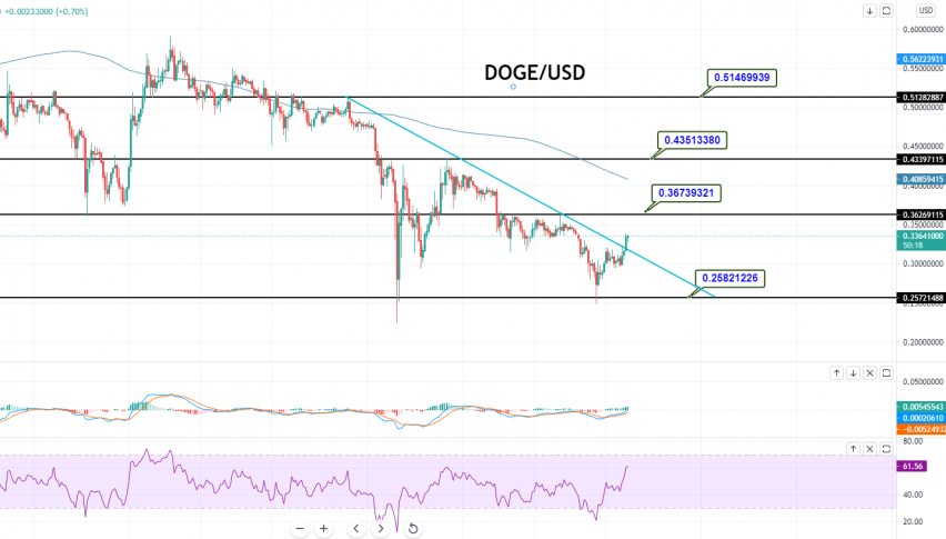 Doge Price Forecast Doge Usd Violates Downward Trendline Trade Idea Forex News By Fx Leaders