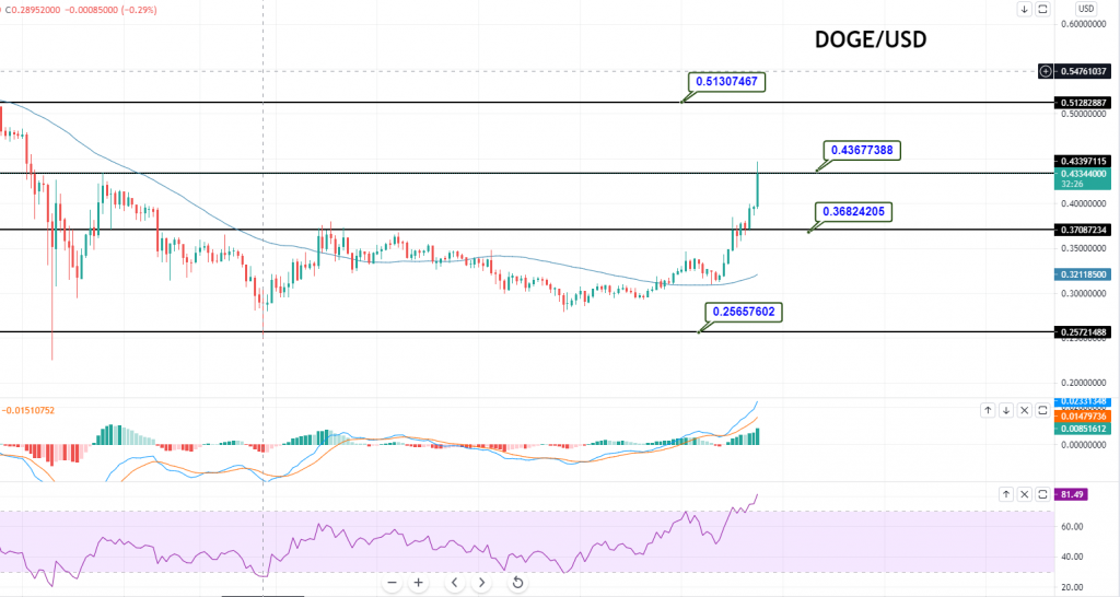 Dogecoin to usd price market cap crypto currencies