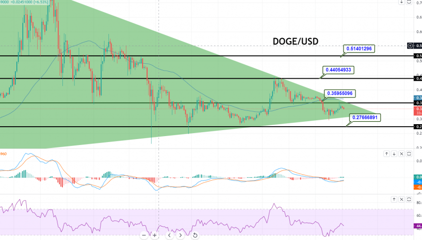 doge to usd price