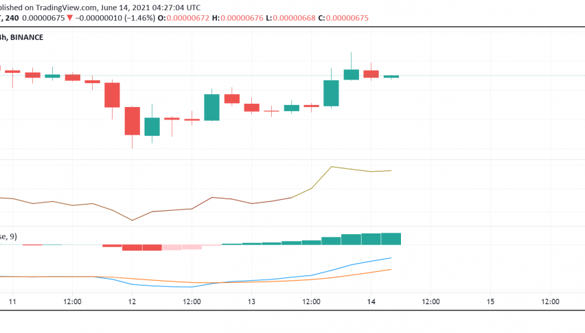 Do We Have Reason to Be Bullish About Shiba Inu (SHIB)?