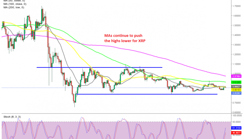 Buyers still nowhere to be seen in Ripple Coin
