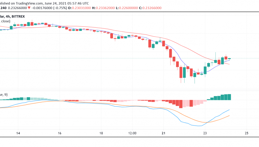 Dogecoin (DOGE) One of the Biggest Gainers Despite Bearish Mood in Cryptos